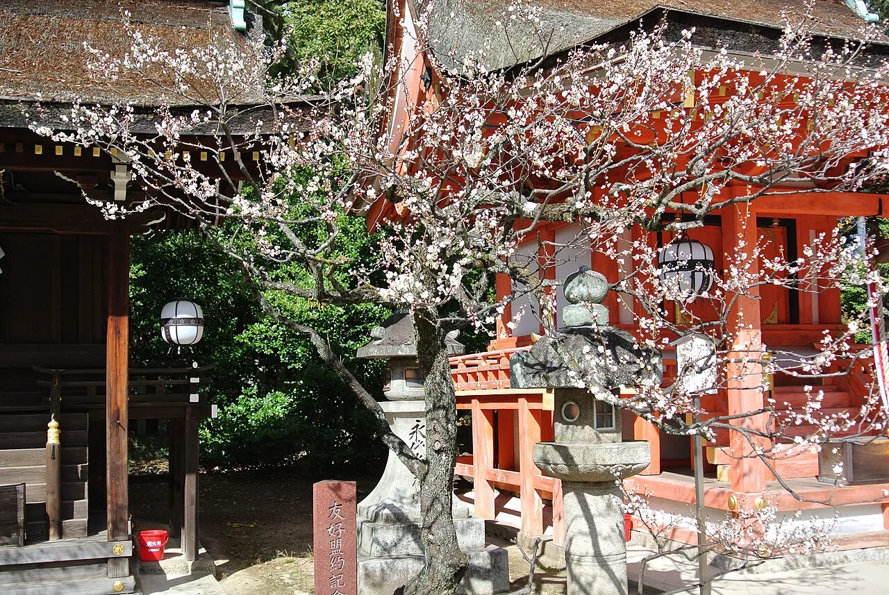 White plum blossoms in front of a vermilion shrine hall with stone lanterns.